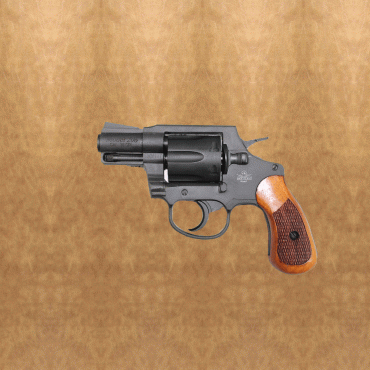 Rock Island M206 .38