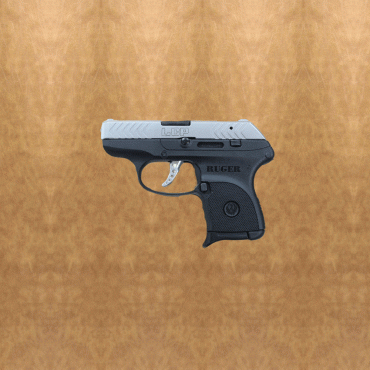 Ruger LCP Stainless .380